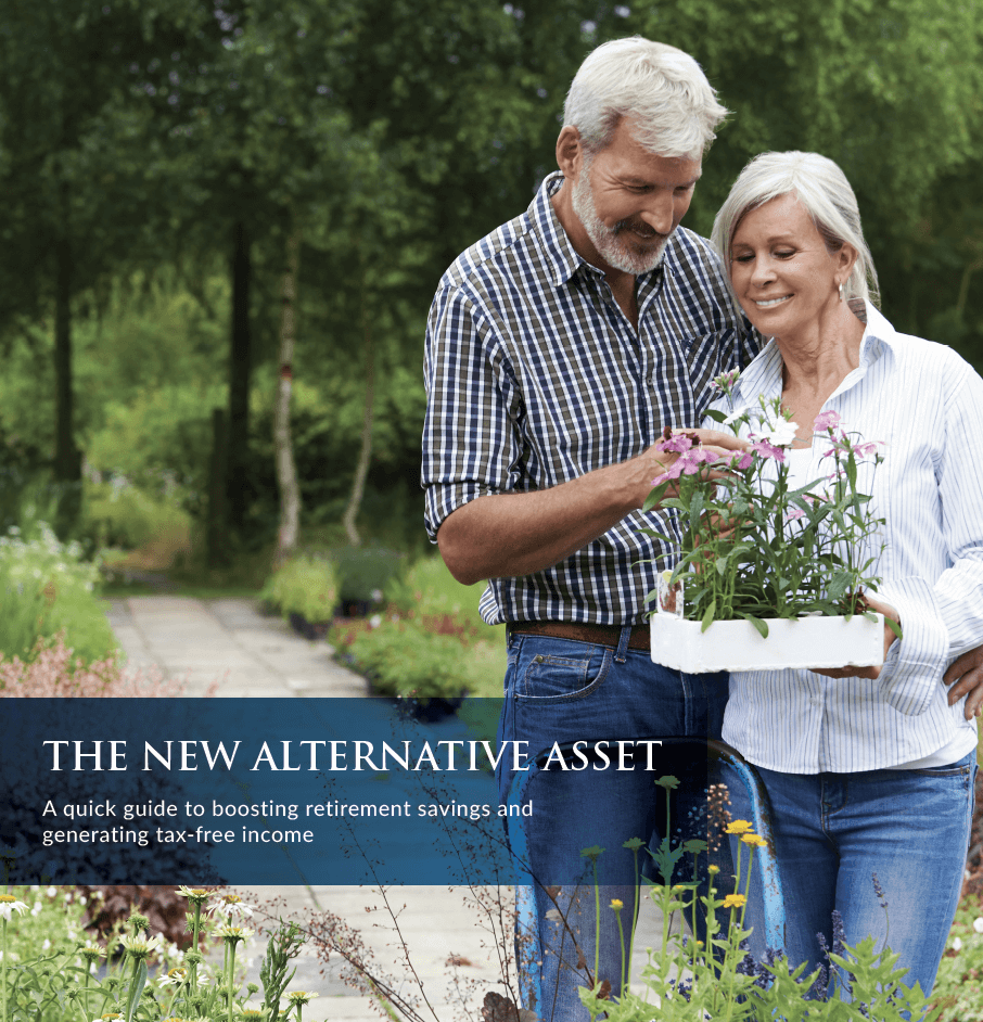 The New Alternative Asset